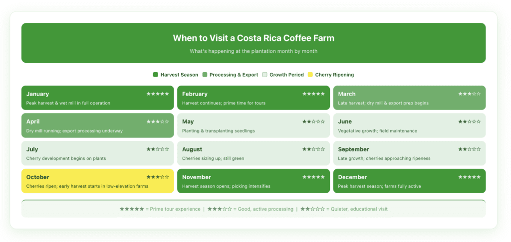 Month-by-month coffee farm calendar showing what's happening at Costa Rica plantations — germination and transplanting (March–May), growth period (June–October), cherry ripening (October–November), active harvest and wet mill processing (November–March), dry mill and export (January–April)