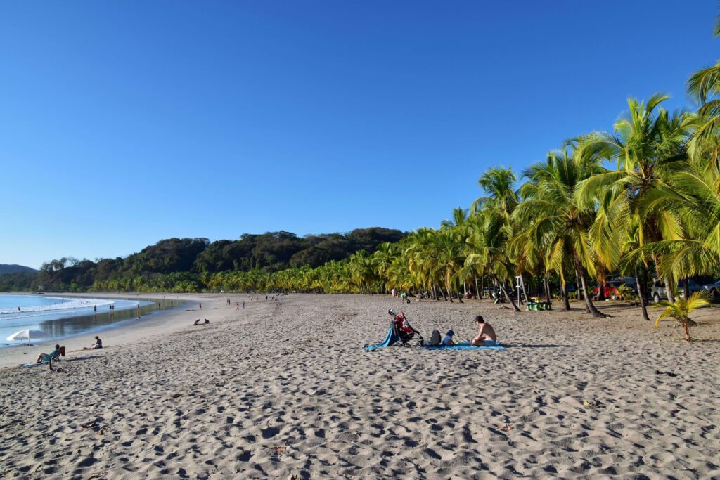 Palm-lined Pacific beach with families relaxing on the sand under a clear blue sky