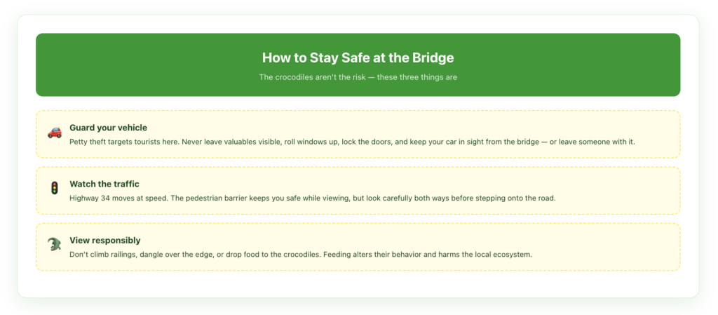 Staying safe at the Tárcoles crocodile bridge: guard your vehicle because petty theft targets tourists, so hide valuables, lock up, and keep the car in sight; watch the fast traffic on Highway 34 and look both ways before stepping onto the road; and view responsibly by not climbing railings, dangling over the edge, or feeding the crocodiles, which harms their behavior and the ecosystem.