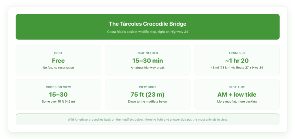 Tárcoles crocodile bridge quick facts: free with no reservation, a 15 to 30 minute stop, about 1 hour 20 minutes and 45 miles from San José airport via Route 27 and Highway 34, typically 15 to 30 crocodiles in view with some over 15 feet, a 75-foot drop down to the mudflats, and the best viewing in the morning at low tide when more mudflat is exposed for basking.