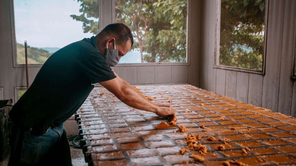 Worker spreading fresh cacao paste across drying trays, similar to chocolate tours near Puerto Viejo, Costa Rica