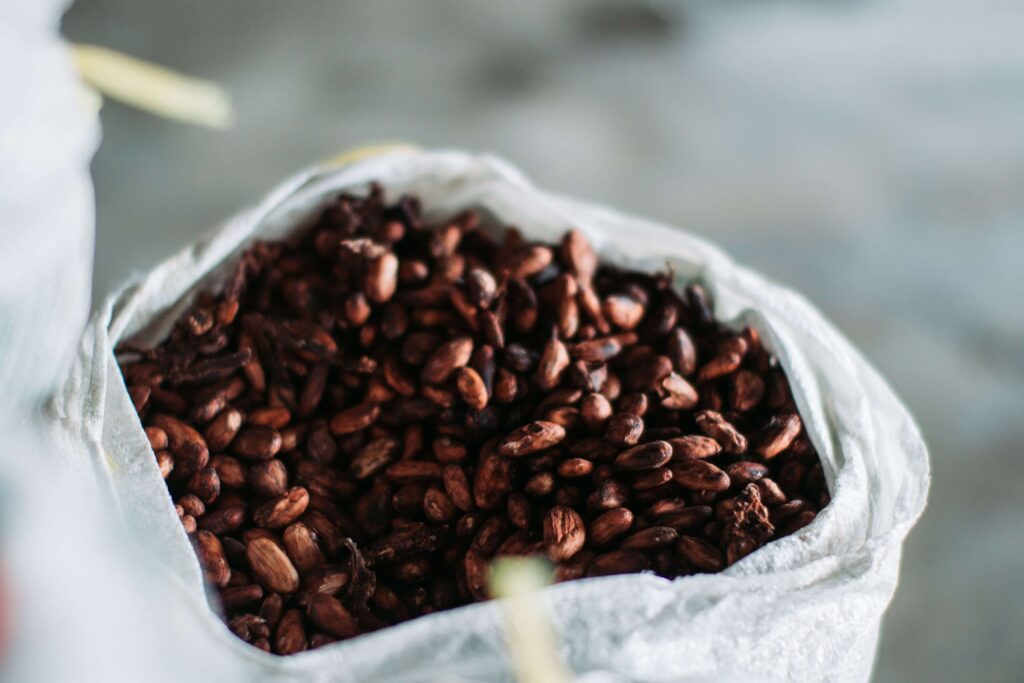 Sack of dried fermented cacao beans ready for roasting, similar to those used on Costa Rica chocolate tours