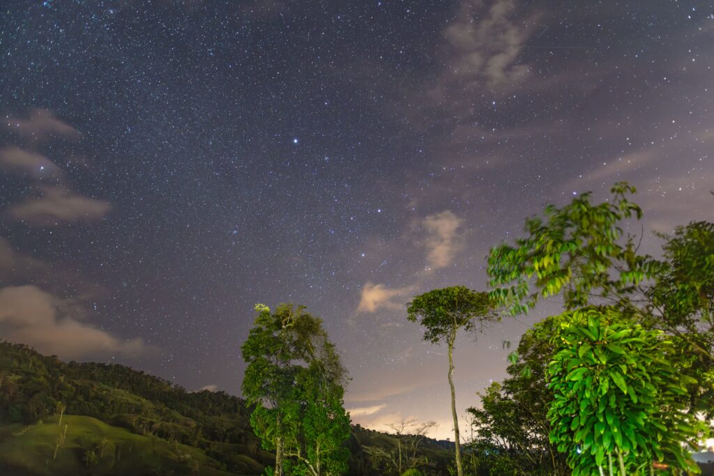 Star-filled night sky over forested hills and treetops, similar to a night walk at Hacienda Barú, Costa Rica
