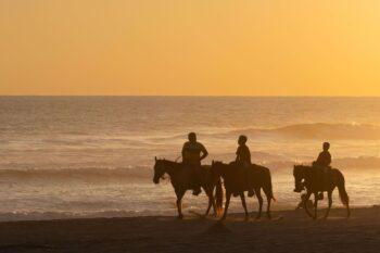 Horseback riders silhouetted along the shoreline at sunset, similar to a horseback tour to Playa Cocolito, Costa Rica