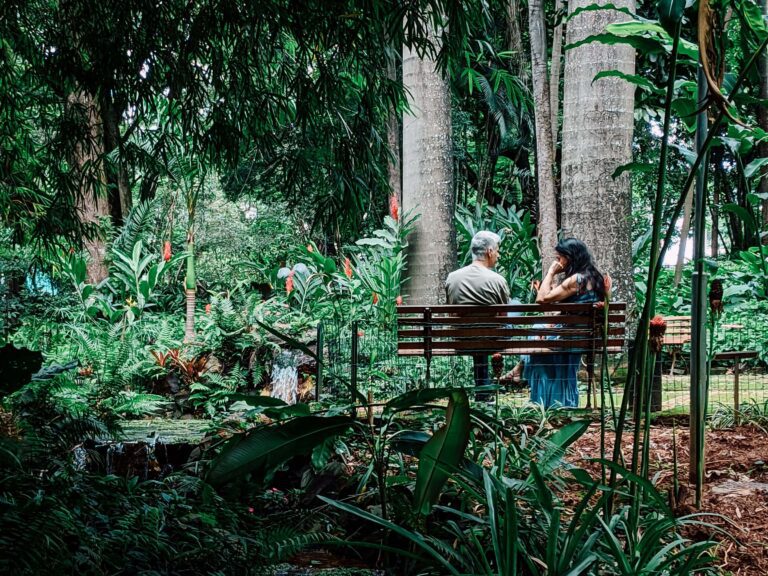 Two people resting on a bench in a shaded tropical garden beside a small pond, similar to Lankester Botanical Garden, Costa Rica
