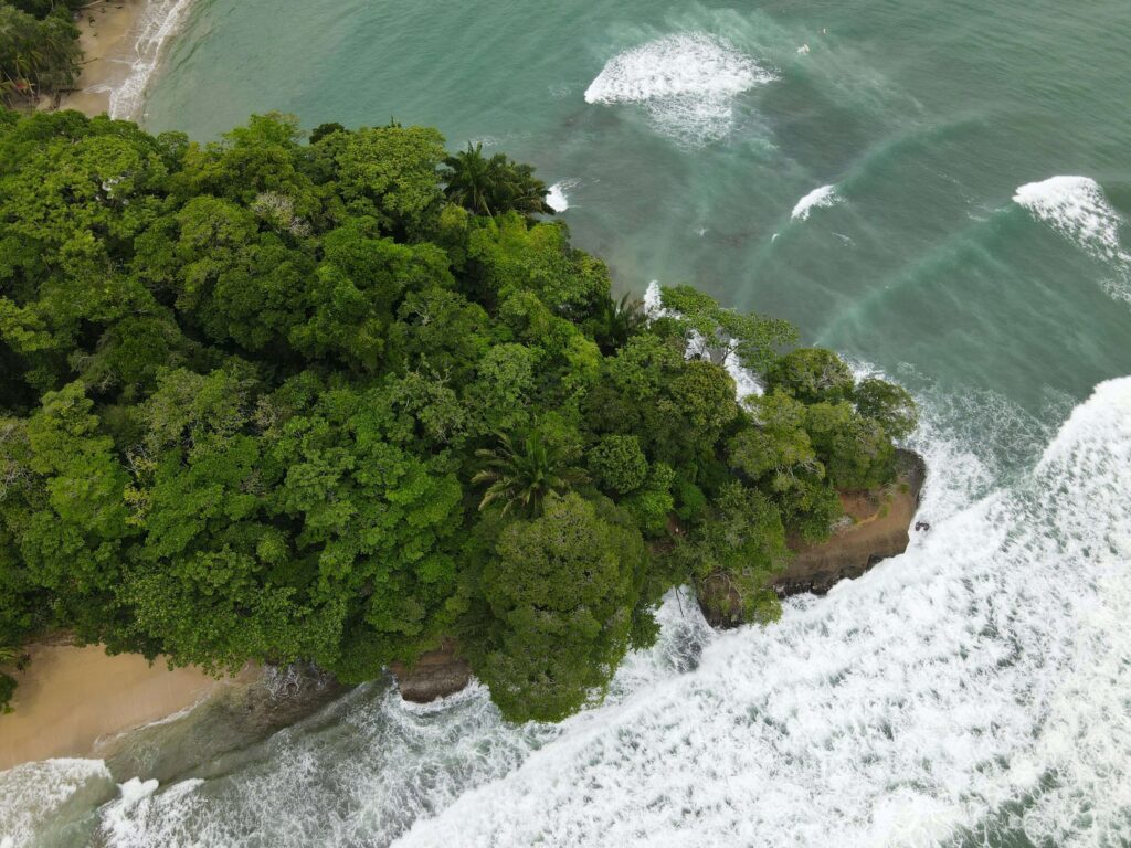 Aerial view of a jungle headland meeting surf and golden sand coves, similar to Playa Cocles, Costa Rica