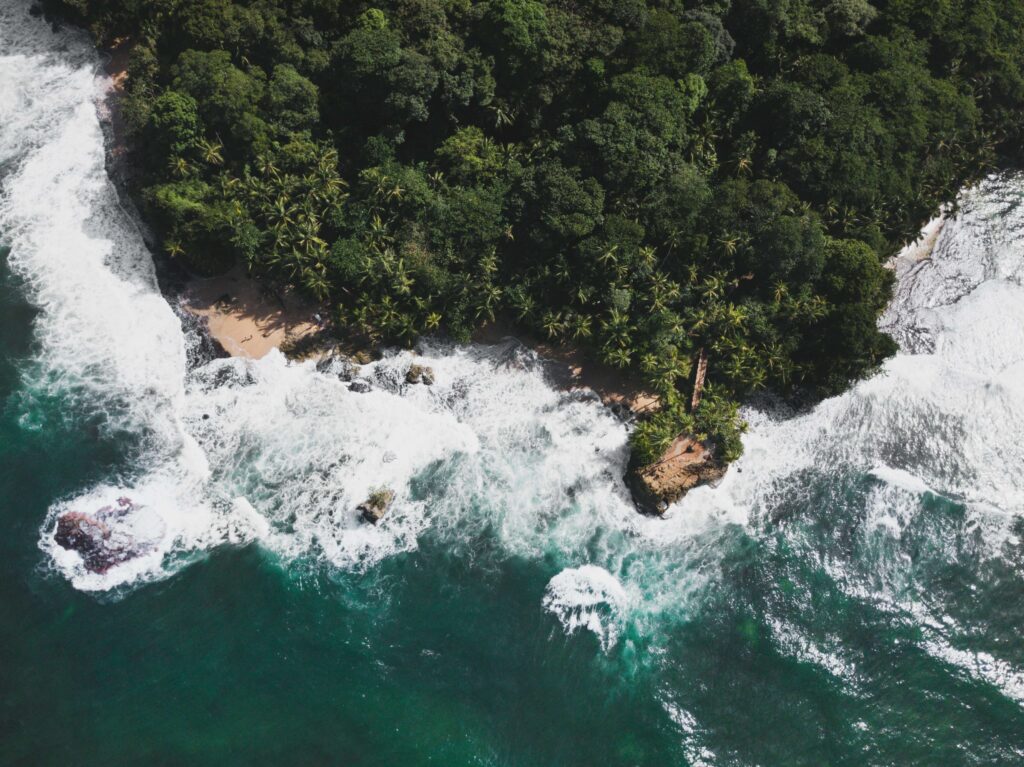 Aerial view of heavy surf breaking around a palm-covered rocky headland, similar to Playa Cocles, Costa Rica